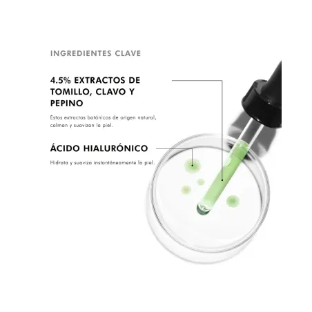 Skinceuticals Phyto Corrective Gel Hidratante 30 ml