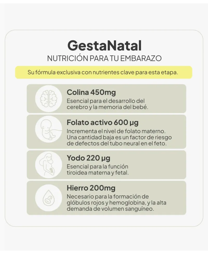 IVB GestaNatal 60 Cápsulas
