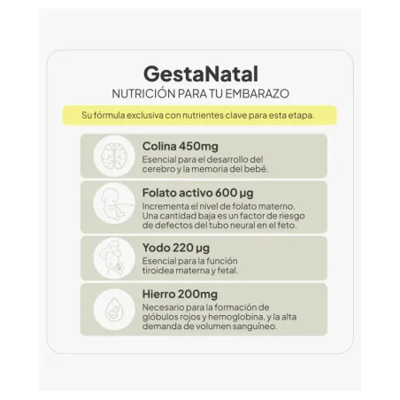 IVB GestaNatal 60 Cápsulas